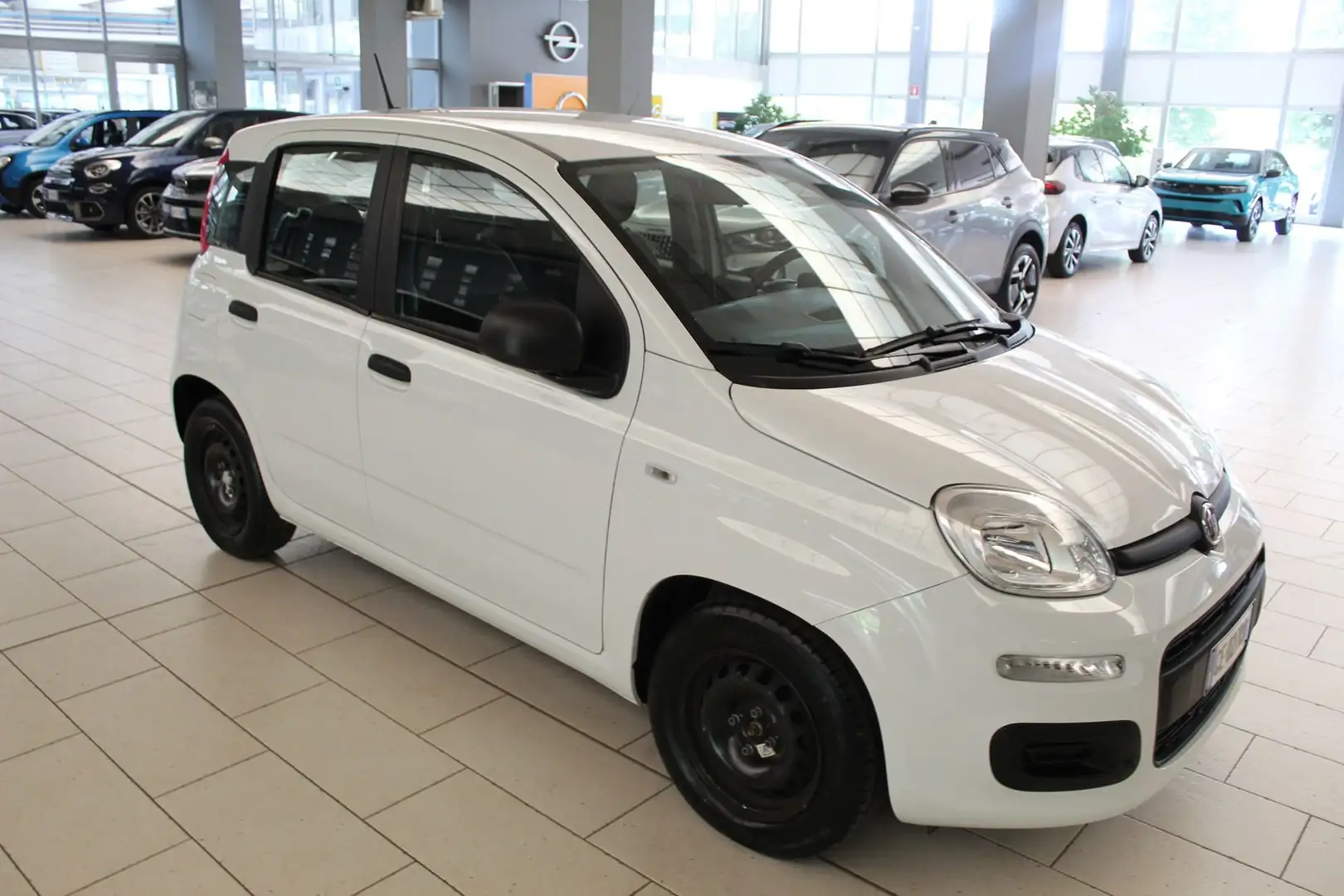 Fiat Panda 1.0 FireFly S&S Hybrid Wit - 2