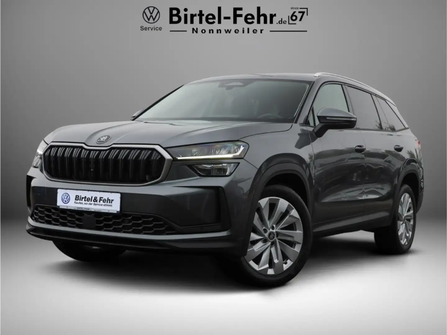 Skoda Kodiaq Selection 2.0 TDI 4x4 DSG LED AHK Kamera Grau - 1