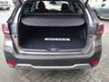 Subaru OUTBACK 2.5i 169PK AWD CVT | Brilliant Bronze Metallic | 5 Brown - thumbnail 11