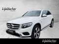 Mercedes-Benz GLC 350 e 4MATIC RKam PTS Shz Ambi LED Klima Blanc - thumbnail 1
