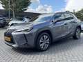 Lexus UX 300e Business 54 kWh NL-AUTO EL-STOELEN CARPLAY/ANDROID Grijs - thumbnail 7