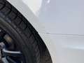 Audi A6 2.0 TDI DSG S-Tronic  S-Line GEWERBE / EXPORT Weiß - thumbnail 13
