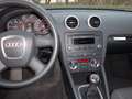 Audi A3 2.0 TDI Attraction (103kW) Schwarz - thumbnail 11