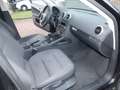 Audi A3 2.0 TDI Attraction (103kW) Schwarz - thumbnail 14