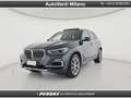 BMW X5 X5 xDrive30d 48V xLine Gris - thumbnail 1