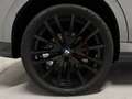 BMW X6 xDrive30d Gri - thumbnail 20