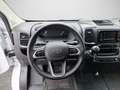 Toyota Proace Max 140PS Diesel Schalter Prowork L3 H2 35H Weiß - thumbnail 12