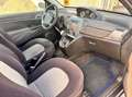 Lancia Ypsilon Ypsilon 1.2 Oro Bianco Marrone - thumbnail 13