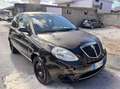 Lancia Ypsilon Ypsilon 1.2 Oro Bianco Marrone - thumbnail 3