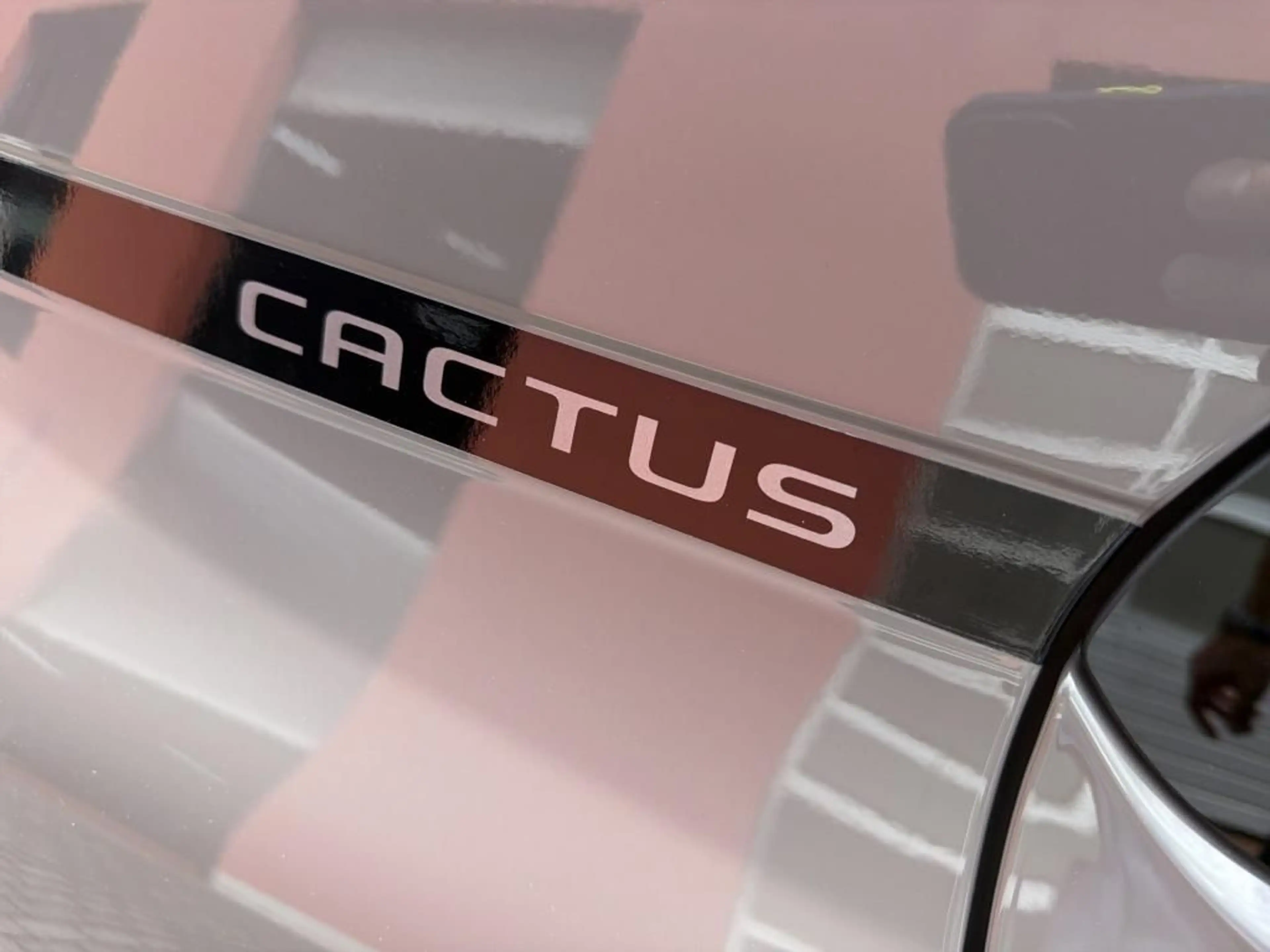 Citroen C4 Cactus PureTech 130 Stop&Start Shine — photo 7