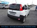Fiat Panda VAN 1.0 GSE Hybrid 2 posti Radio, Clima, Km certif Bianco - thumbnail 4