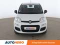 Fiat Panda 1.2 Blanc - thumbnail 9