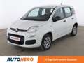 Fiat Panda 1.2 Blanc - thumbnail 1