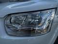 Ford Transit Transit Kasten 2,0 EcoBlue L2H2 350 AWD Trend Weiß - thumbnail 19