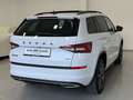 Skoda Kodiaq 2,0 TDI SCR 4x4 Sportline DSG Panoramadach AHK Weiß - thumbnail 9