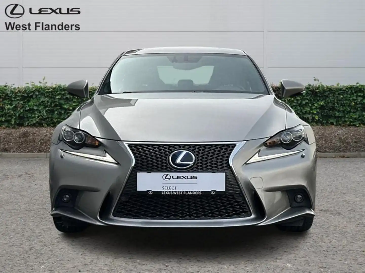 Lexus IS 300 F SPORT Line +GPS+CAMERA+PARKP Goud - 2