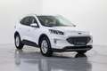 Ford Kuga 1.5 EcoBoost ST-Line FWD 150 Blanco - thumbnail 3