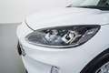 Ford Kuga 1.5 EcoBoost ST-Line FWD 150 Blanco - thumbnail 10