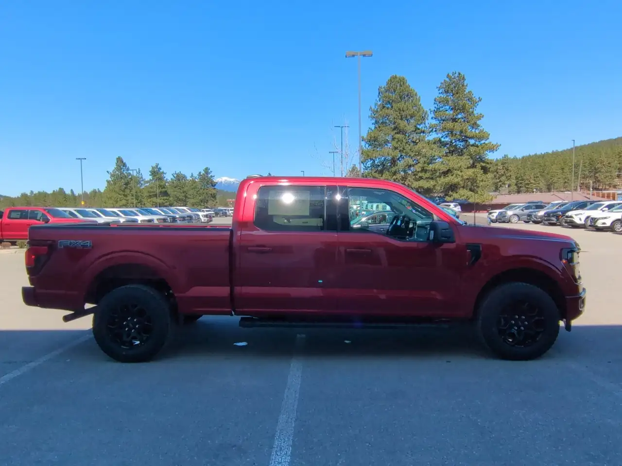 Ford F 150 снимка Ford F 150