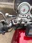 Suzuki VX 800 Rosso - thumbnail 4
