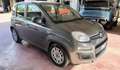 Fiat Panda 1.0 FireFly S&S Hybrid Gris - thumbnail 2