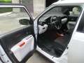 Suzuki Ignis 4x4 Bianco - thumbnail 7