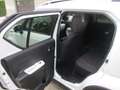 Suzuki Ignis 4x4 Bianco - thumbnail 10
