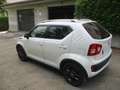 Suzuki Ignis 4x4 Bianco - thumbnail 3