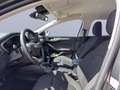 Ford Focus Titanium 1.0 EcoBoost MHEV *NAVI*LED*PARK-PILOT* Grau - thumbnail 10