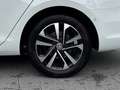 Volkswagen Golf VII Variant 2.0 TDI DSG IQ.DRIVE Weiß - thumbnail 9