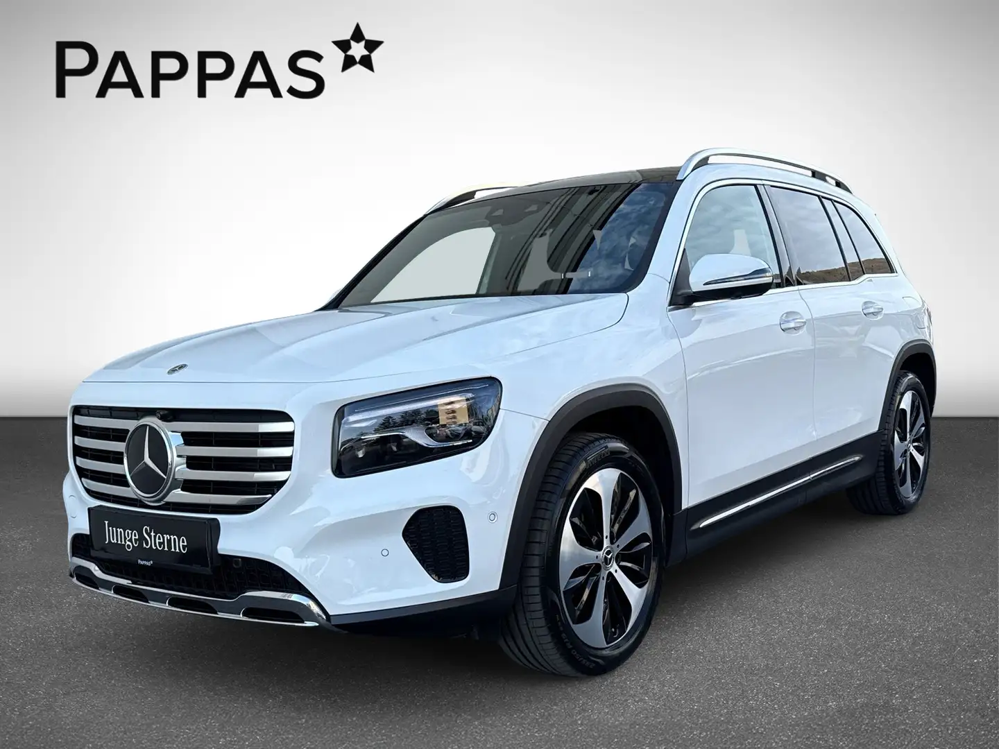 Mercedes-Benz GLB 220 d 4MATIC Pano Wide LED Navi Cam Distr Wit - 2