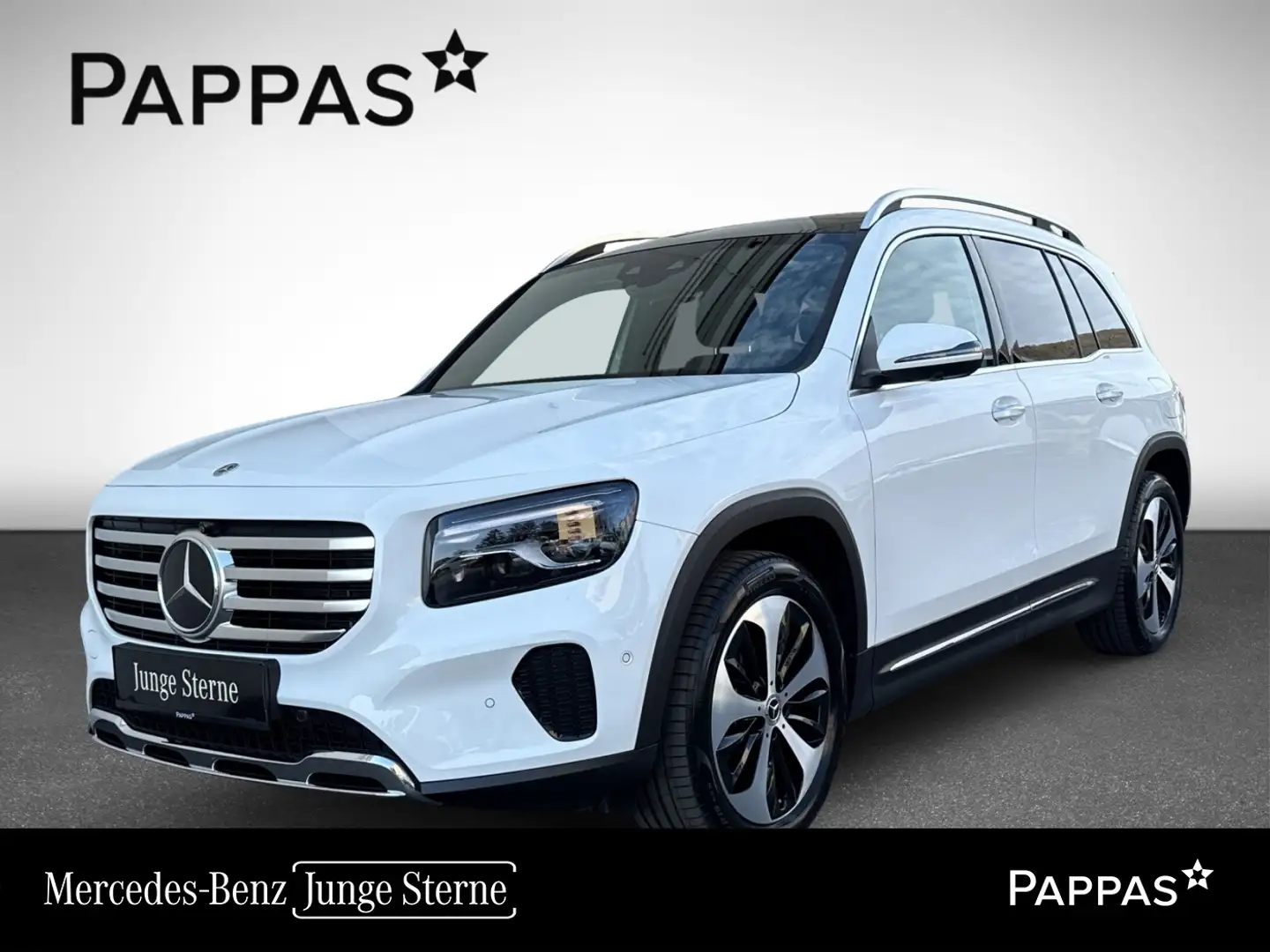 Mercedes-Benz GLB 220 d 4MATIC Pano Wide LED Navi Cam Distr Wit - 1