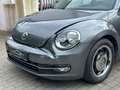 Volkswagen Beetle Lim.1.2 TSI Design Navi Klima DSG UNFALL Grigio - thumbnail 3