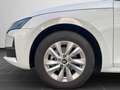 Skoda Octavia Combi 1.5 TSI Selection Navi,  RFK, Suns Weiß - thumbnail 8
