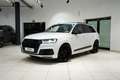 Audi SQ7 4.0|ACC|HUD|NIGHT|360°|LUFTF|MEMO|PANO|BOSE| Blanc - thumbnail 19