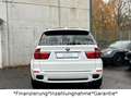 BMW X5 xDrive40d*M Sport*Pano*HUD*Entertainment* Weiß - thumbnail 15