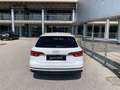 Audi A4 Avant 2.0 TDI 122 CV S tronic Business Sport Bianco - thumbnail 5