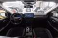 Ford Kuga 2.5 full hybrid Active X 2wd 180cv auto Verde - thumbnail 8