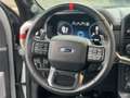 Ford F 150 F-150 RAPTOR/GARANTIE/FACELIFT/SPORTABGAS/VOLL ! Grau - thumbnail 22