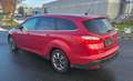 Ford Focus Titanium Rosso - thumbnail 2