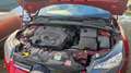 Ford Focus Titanium Rosso - thumbnail 10