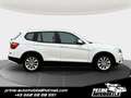 BMW X3 xDrive20d Österreich-Paket Aut. *LEDER*HEAD UP' Blanc - thumbnail 2