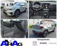 Volvo C40 Recharge Twin Motor Plus *Pano+Standheizung* Verde - thumbnail 1