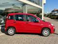 Fiat Panda Panda 1.2 Easy - thumbnail 2