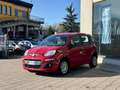 Fiat Panda Panda 1.2 Easy - thumbnail 4
