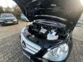 Mercedes-Benz B 160 B160 Benzin*Sportpaket*Leder*109,000KM*Navi*Alu Schwarz - thumbnail 26