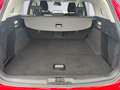 Ford Focus Turnier 1.5 EcoBlue S&S AUT. TITANIUM X*FAHRPK*RFK Rot - thumbnail 7