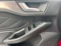 Ford Focus Turnier 1.5 EcoBlue S&S AUT. TITANIUM X*FAHRPK*RFK Rot - thumbnail 18