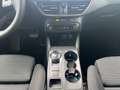 Ford Focus Turnier 1.5 EcoBlue S&S AUT. TITANIUM X*FAHRPK*RFK Rot - thumbnail 13