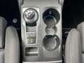 Ford Focus Turnier 1.5 EcoBlue S&S AUT. TITANIUM X*FAHRPK*RFK Rot - thumbnail 21